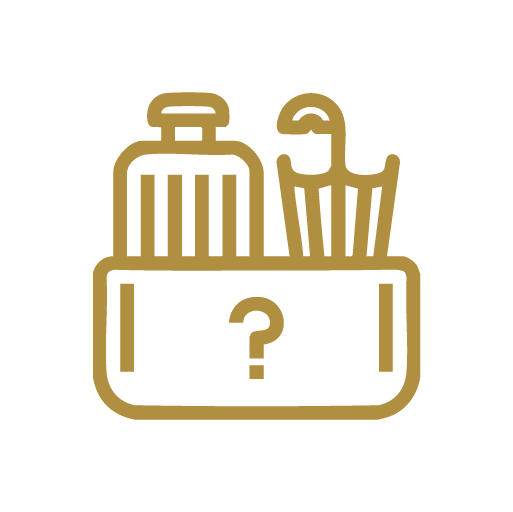 Service Icon إبلاغ عن مفقودات